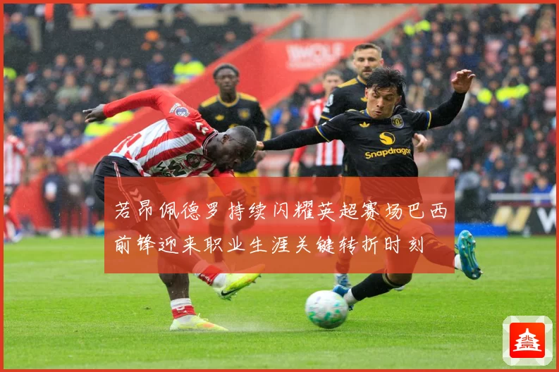 若昂佩德罗持续闪耀英超赛场巴西前锋迎来职业生涯关键转折时刻