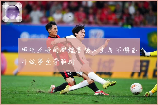 田径王峥的辉煌赛场人生与不懈奋斗故事全景解析